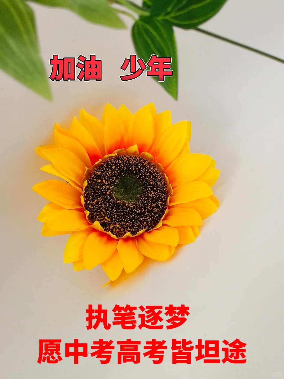 执笔逐梦,愿中考高考皆坦途-第2张图片-四季读书网 执笔逐梦,愿中考高考皆坦途-第2张图片-四季读书网