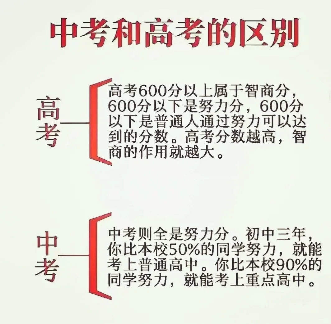 中考和高考谁才是决定孩子命运的关键-第1张图片-四季读书网