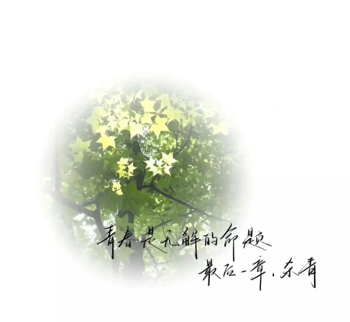 中考后要去做的事-第1张图片-四季读书网
