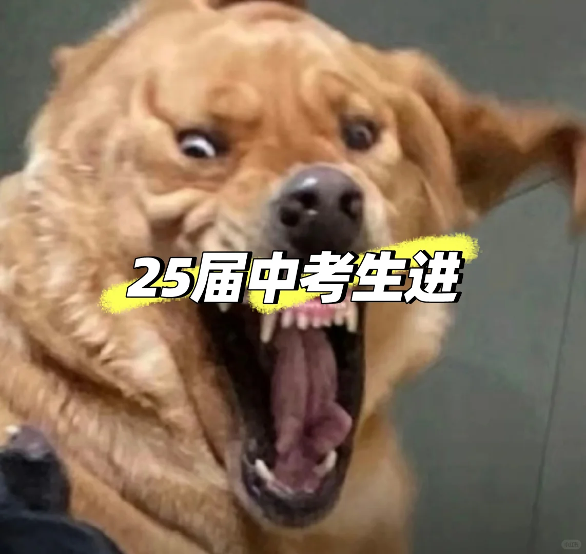 ★留下你的中考目标★*^_^*-第1张图片-四季读书网 ★留下你的中考目标★*^_^*-第1张图片-四季读书网