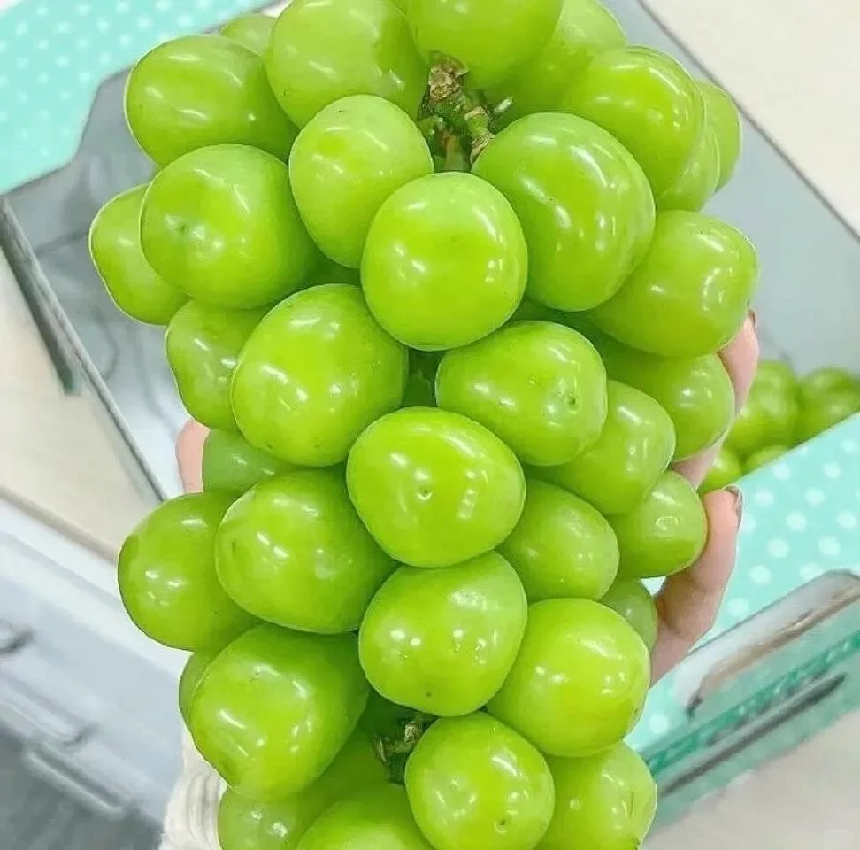 6月中考专用头像-第1张图片-四季读书网