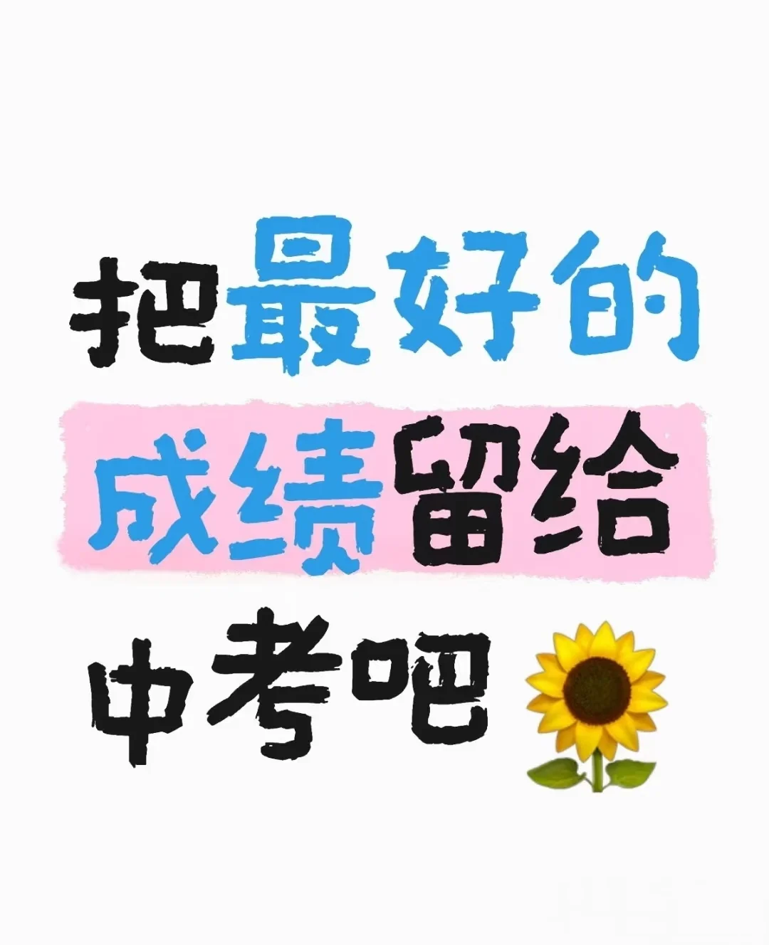 中考金榜题名！ 第1张