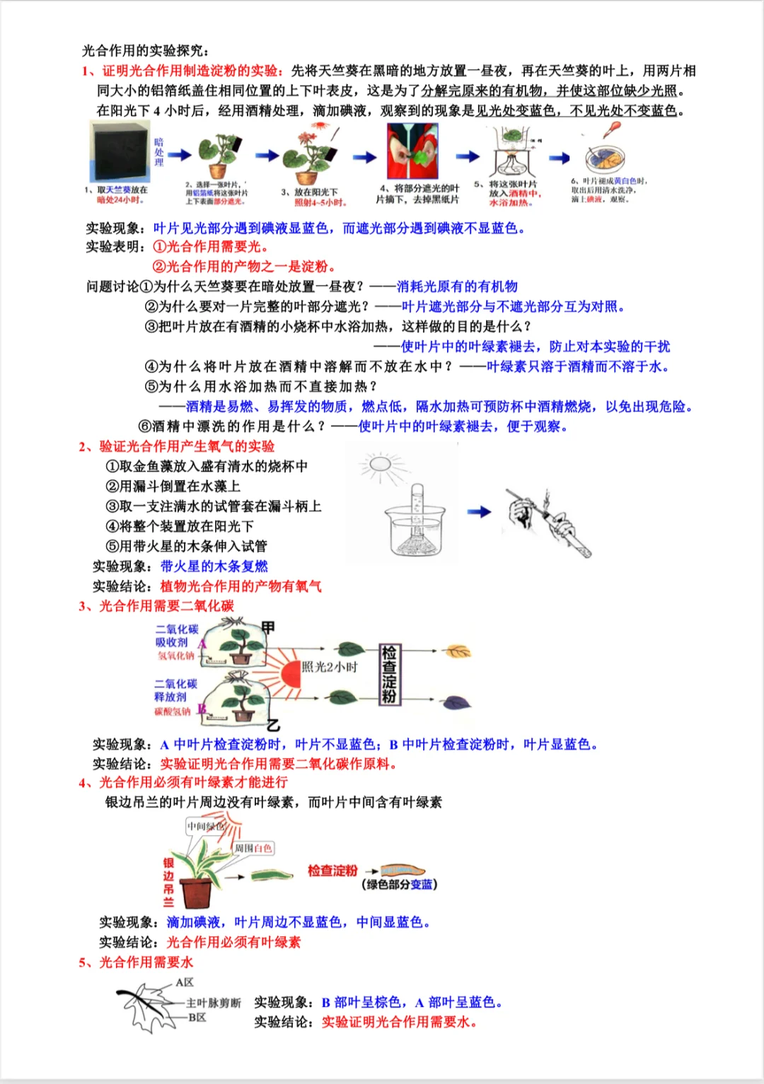 浙江中考科学知识点大全《共41讲》超清彩图-第12张图片-四季读书网