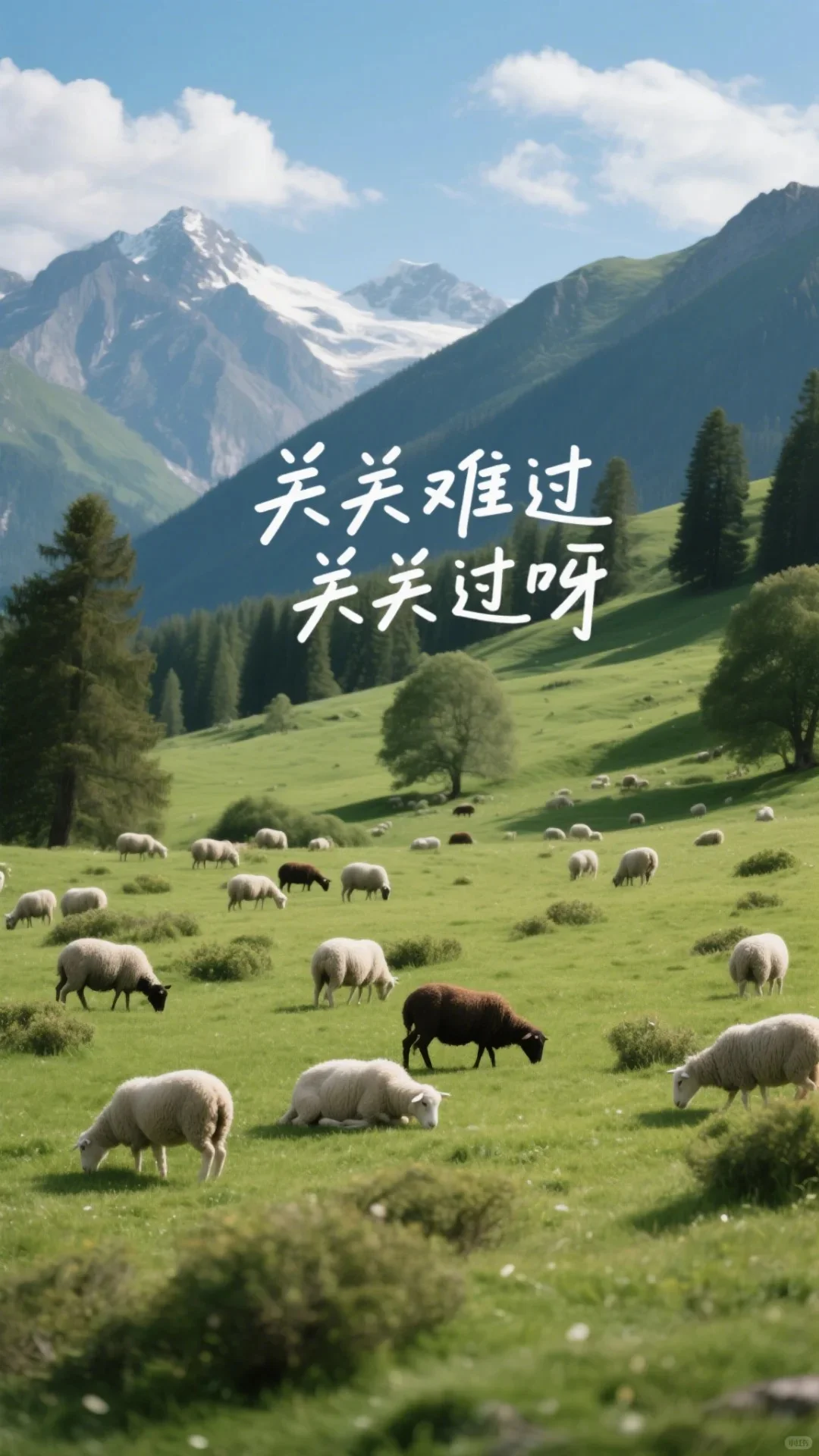 中考壁纸挑一张换上吧-第10张图片-四季读书网