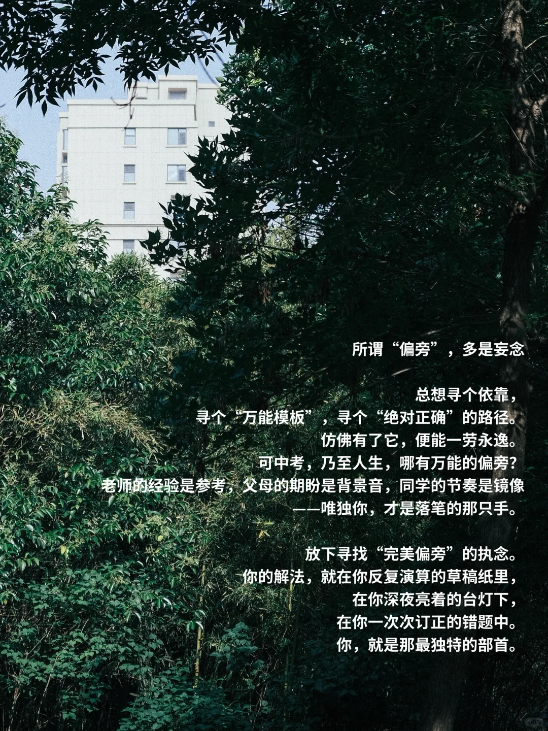 中考前一天|少年没有偏旁 自己便是华章-第3张图片-四季读书网