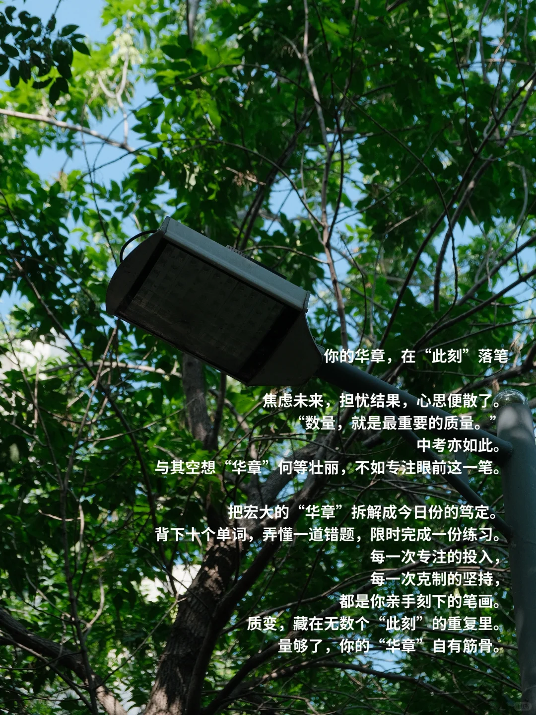 中考前一天|少年没有偏旁 自己便是华章-第4张图片-四季读书网