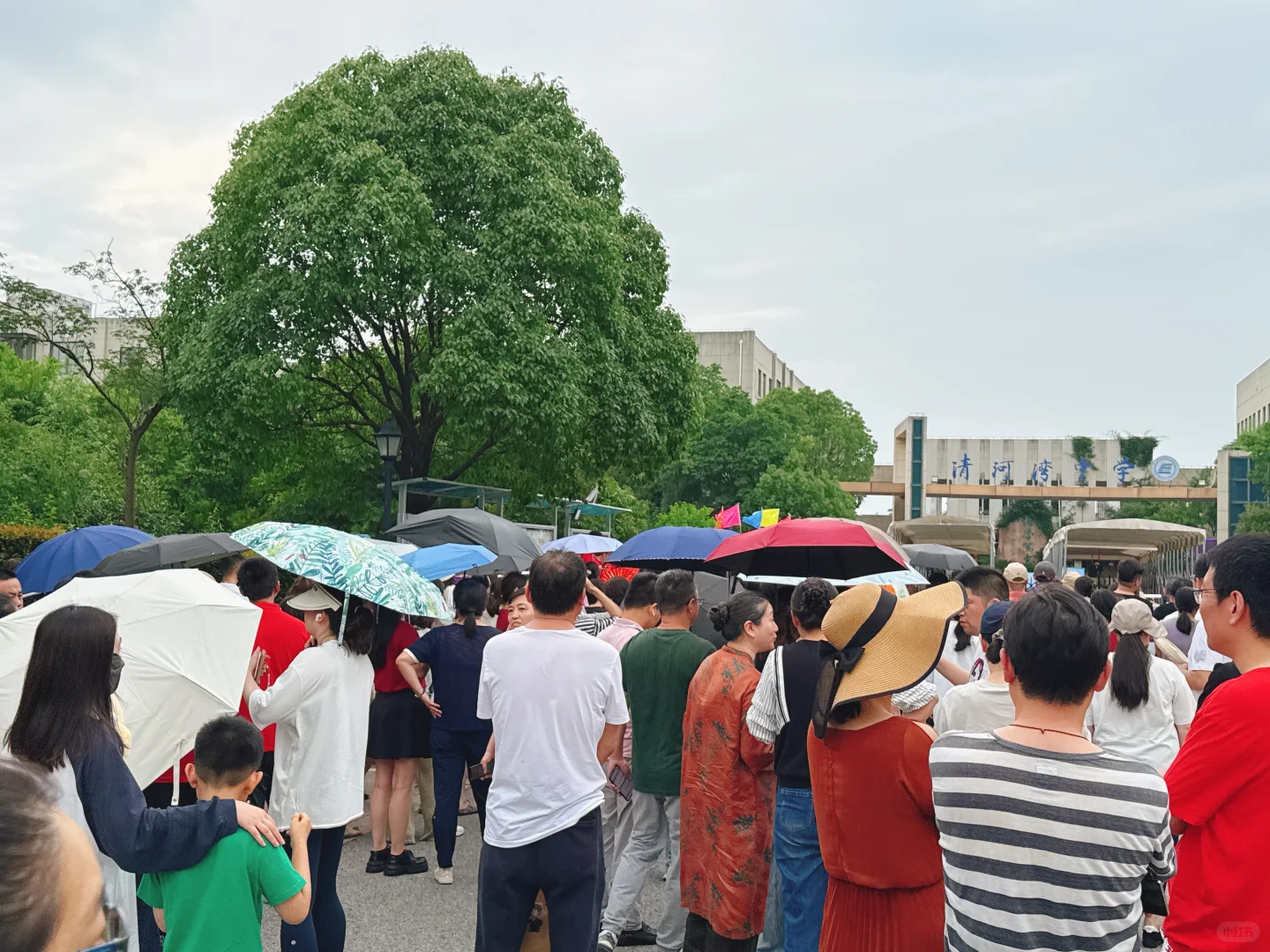 上海中考第一天-第12张图片-四季读书网