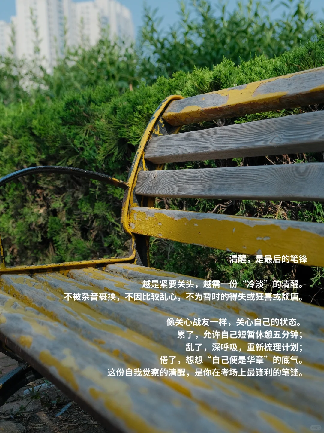 中考前一天|少年没有偏旁 自己便是华章-第5张图片-四季读书网