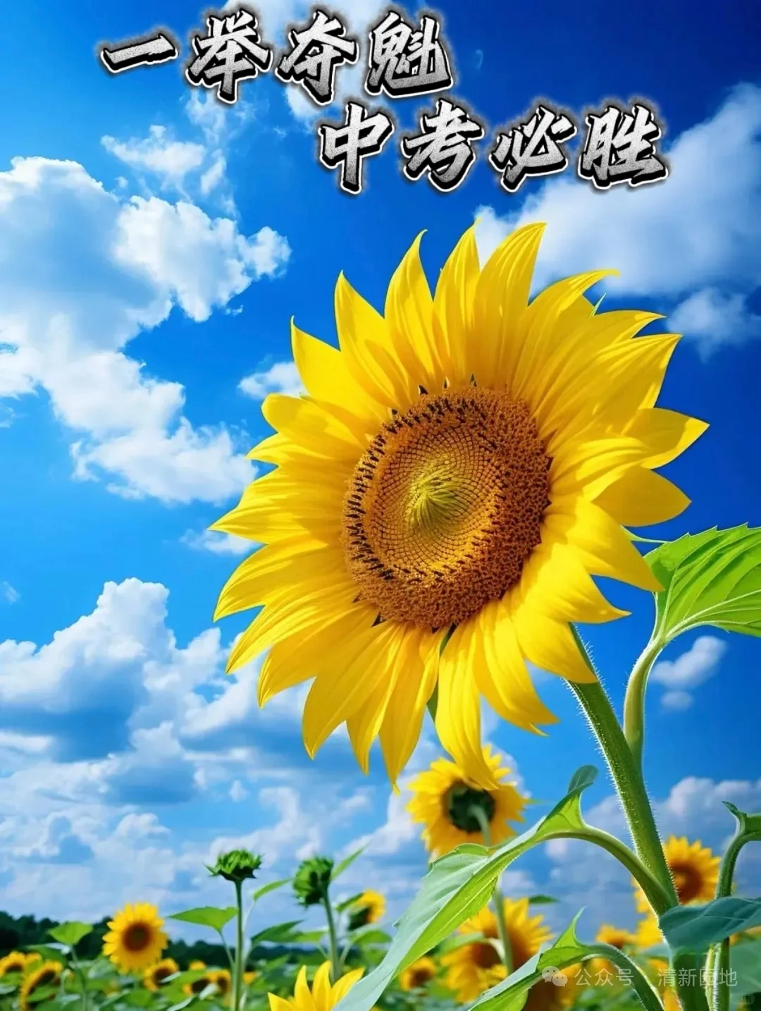 我先来，祝大家中考顺利！-第2张图片-四季读书网