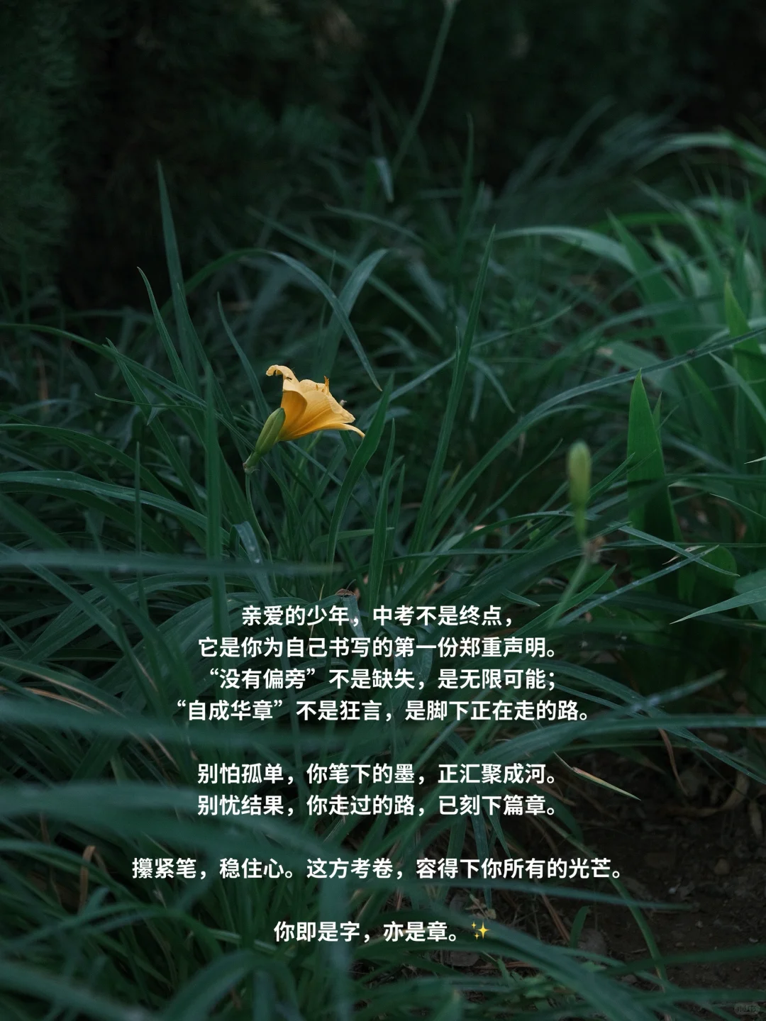 中考前一天|少年没有偏旁 自己便是华章-第1张图片-四季读书网