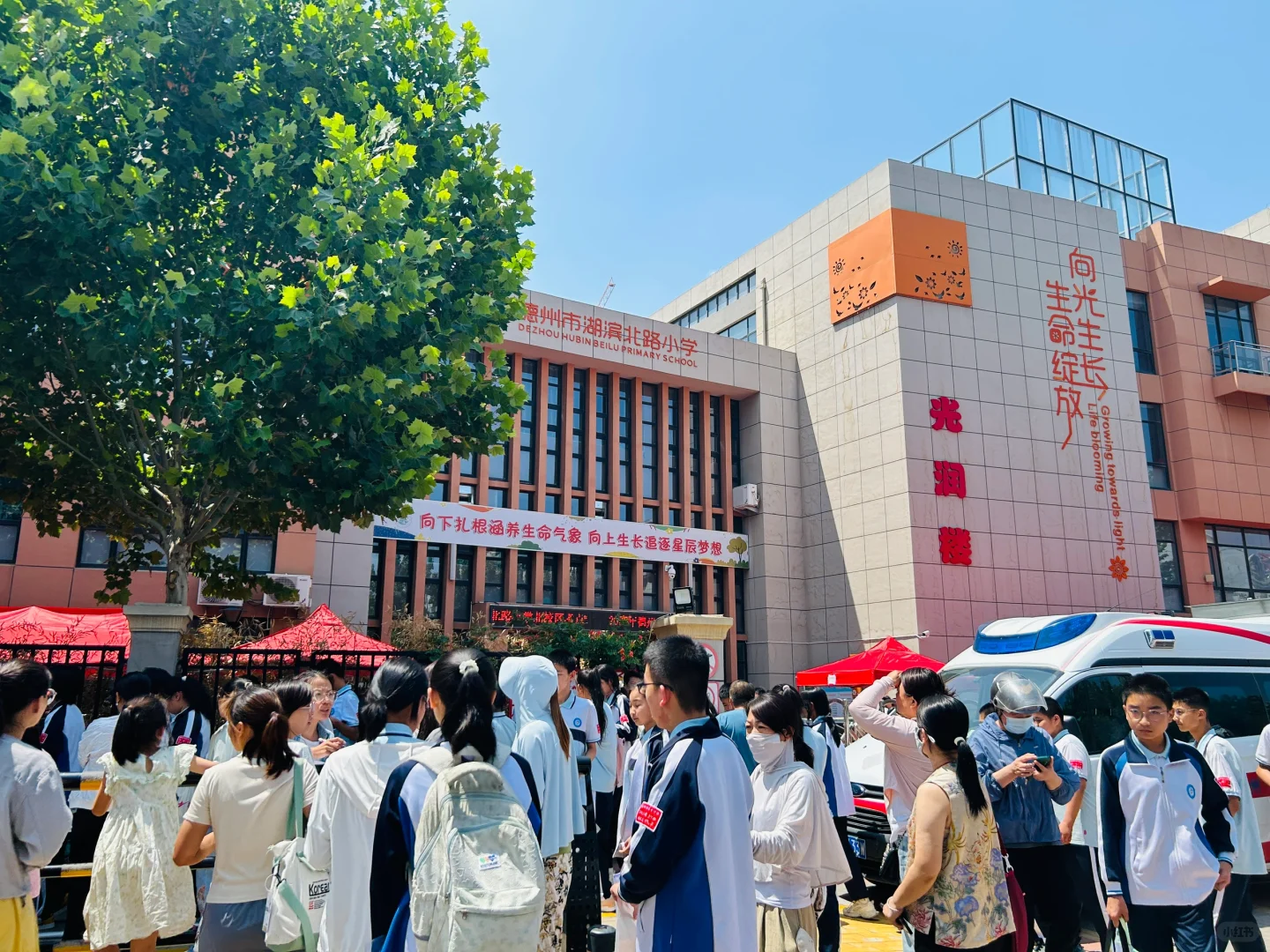 加油我的女孩！fighting！-第2张图片-四季读书网