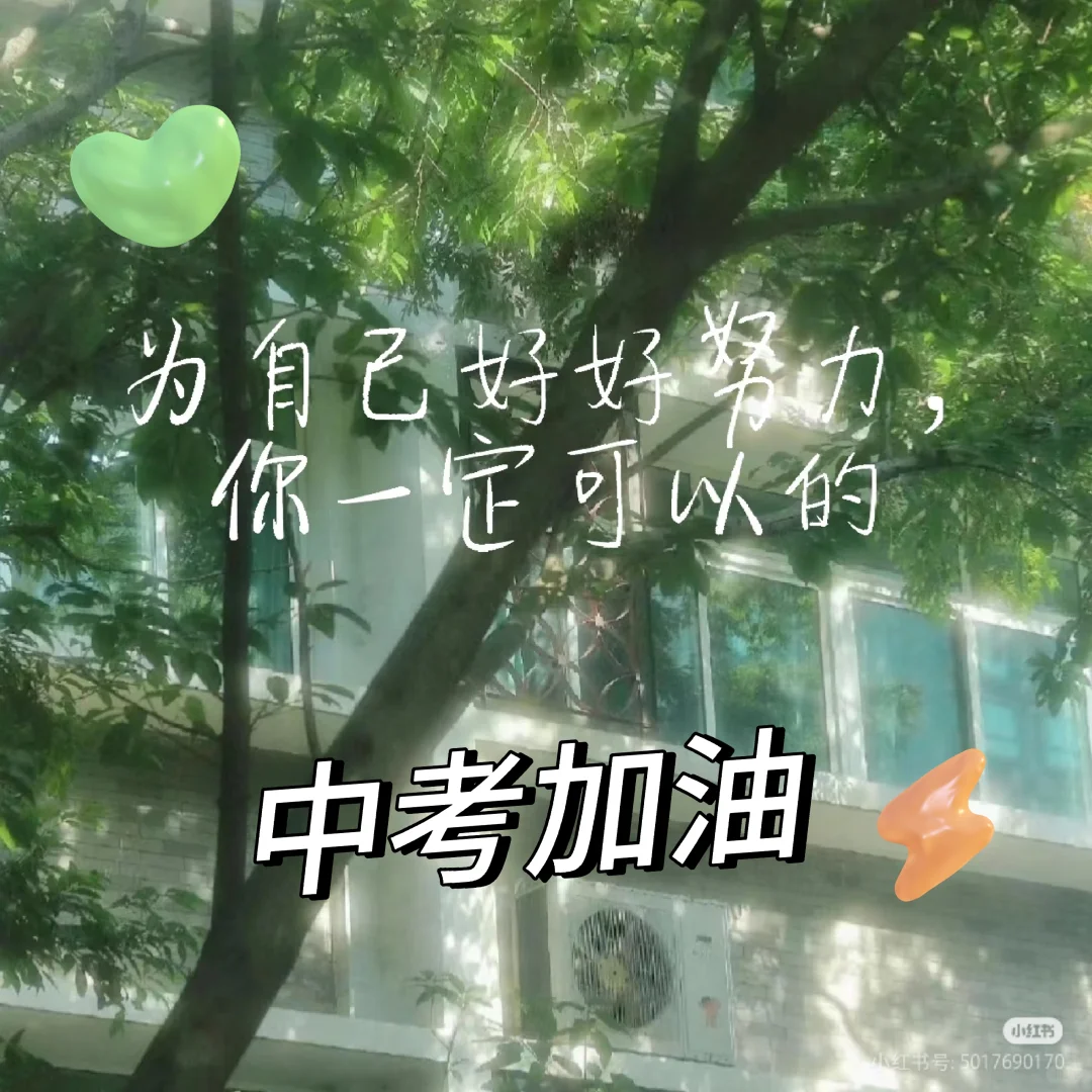 祝我中考加油！祝我们中考加油！-第2张图片-四季读书网