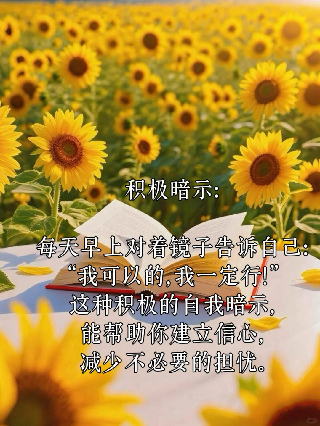 中考加油💪| 轻松应对焦虑,祝你金榜题名-第1张图片-四季读书网 中考加油💪| 轻松应对焦虑,祝你金榜题名-第1张图片-四季读书网