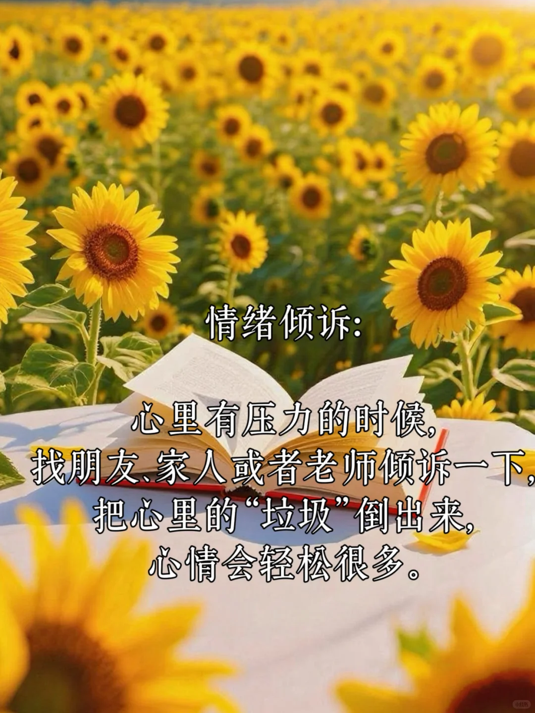 中考加油💪| 轻松应对焦虑,祝你金榜题名-第5张图片-四季读书网 中考加油💪| 轻松应对焦虑,祝你金榜题名-第5张图片-四季读书网