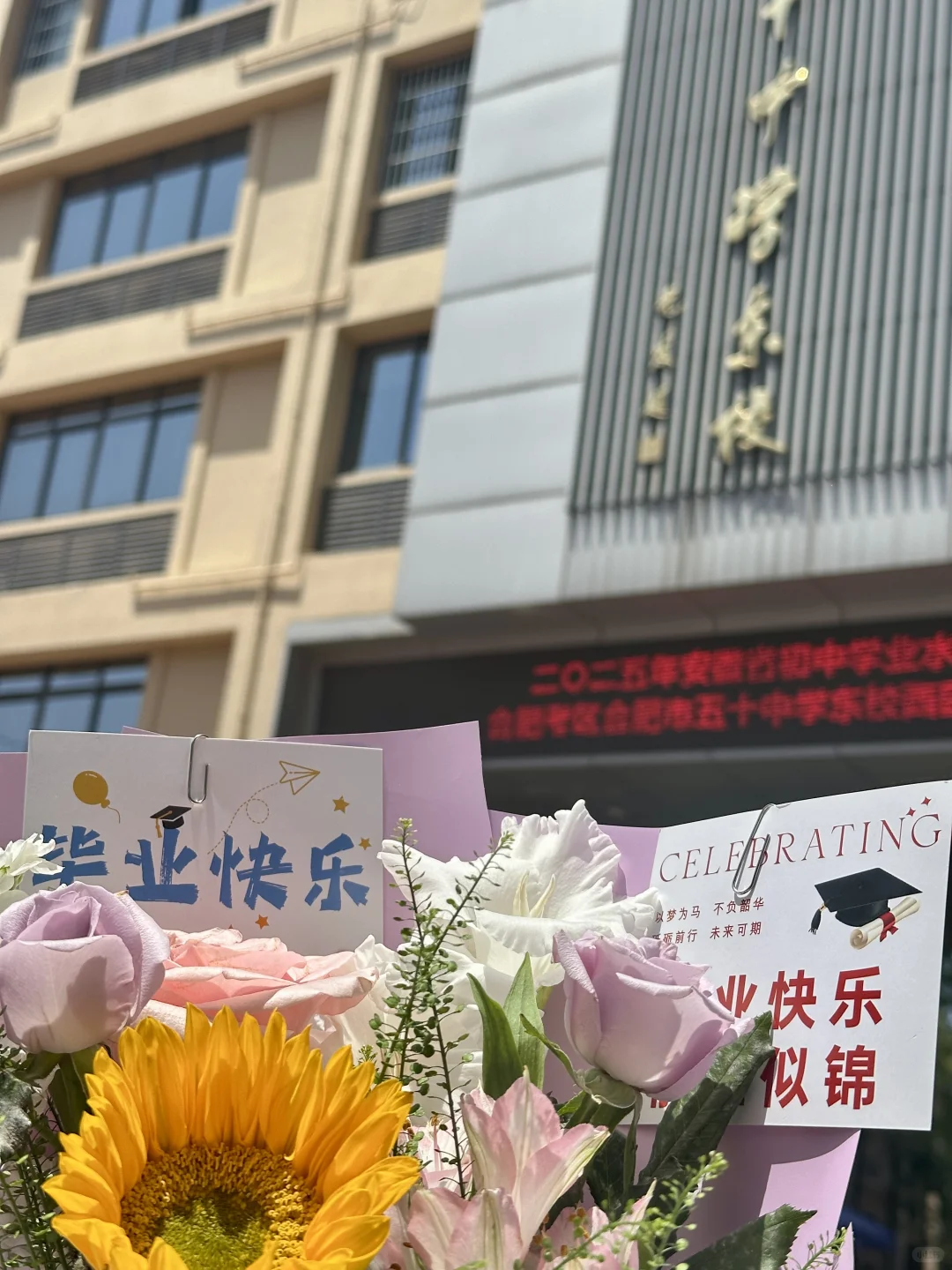 神兽出笼!老子考完了!!!-第2张图片-四季读书网 神兽出笼!老子考完了!!!-第2张图片-四季读书网