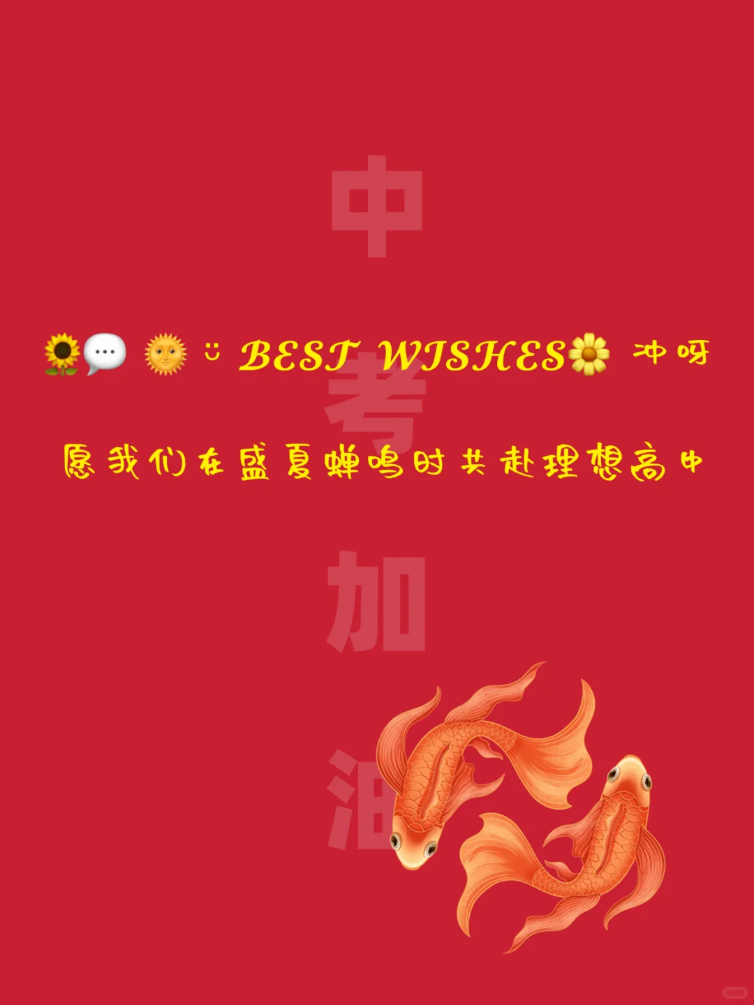 中考祝福文案｜句句励志，满满正能量-第8张图片-四季读书网