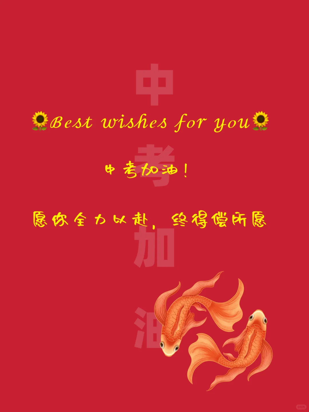 中考祝福文案｜句句励志，满满正能量-第16张图片-四季读书网