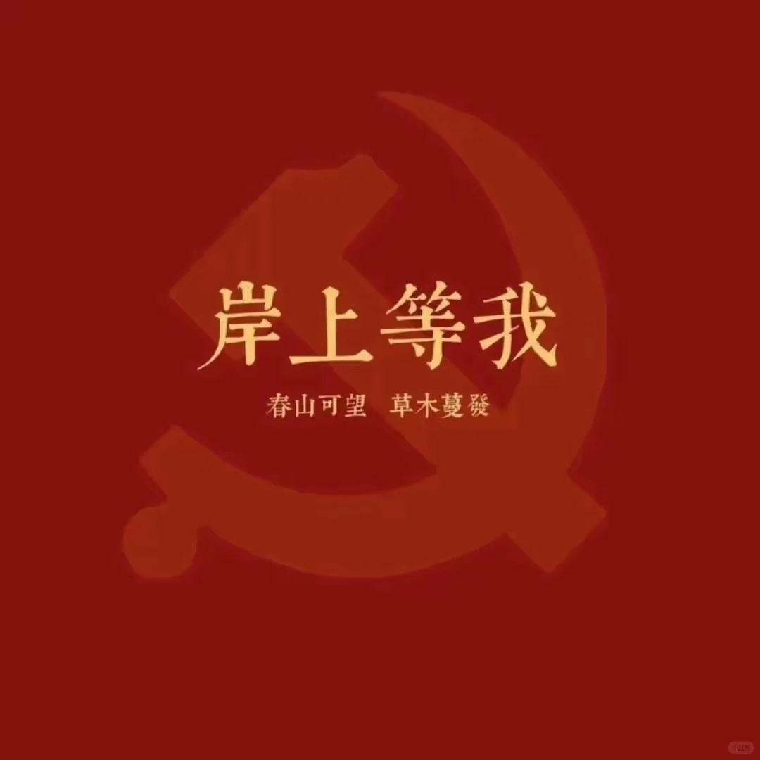 来来来让我中考顺利-第3张图片-四季读书网