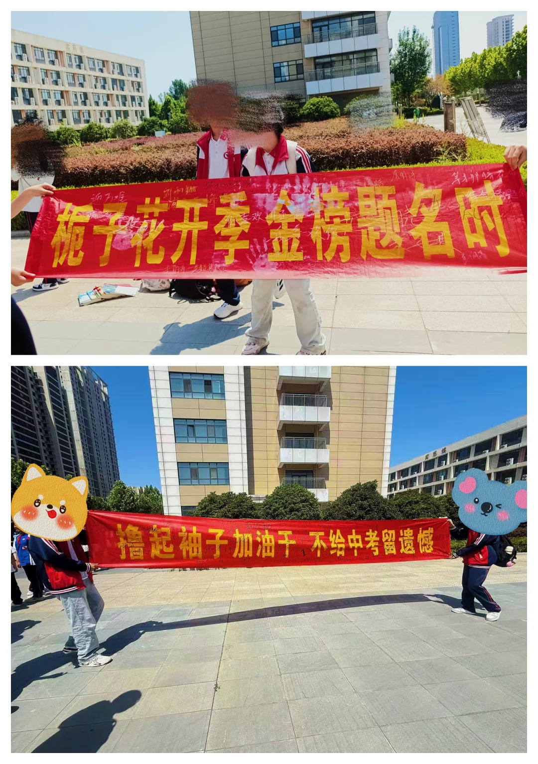 一切顺利！中考大捷-第1张图片-四季读书网