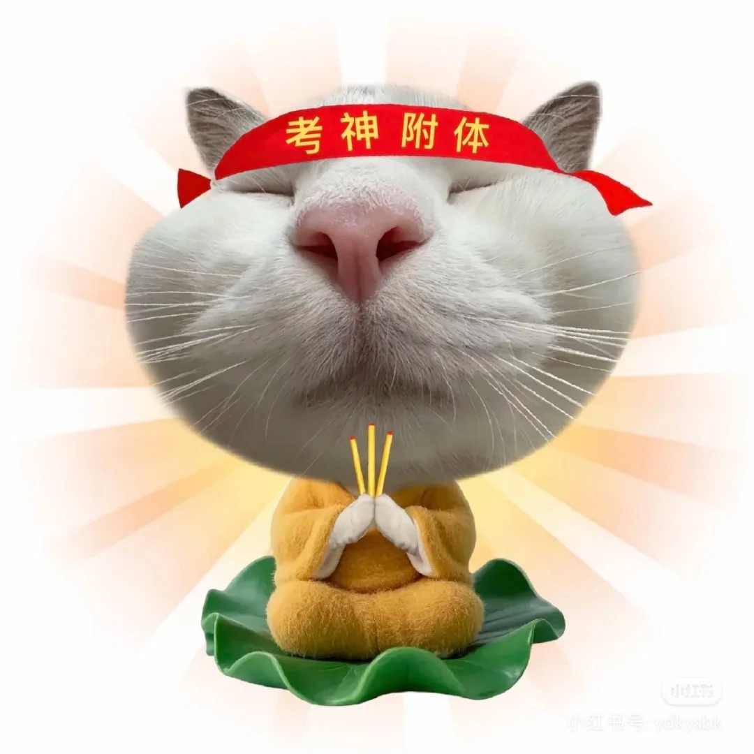 家人们，中考都上岸，过过过！！！🙆‍♂-第3张图片-四季读书网