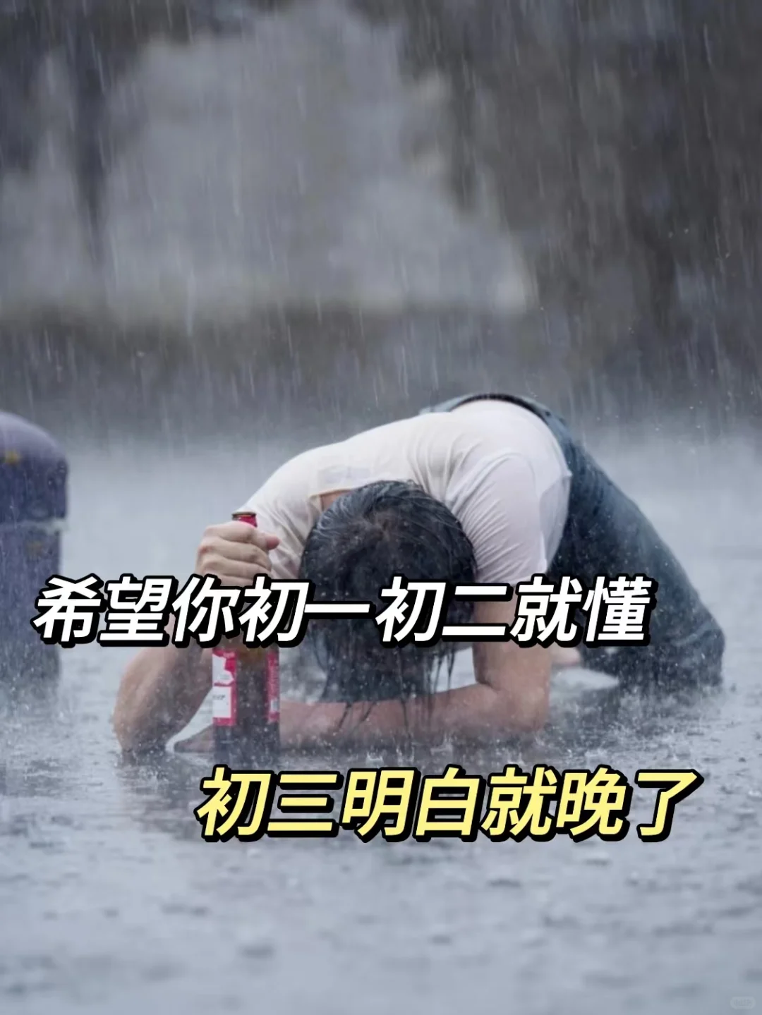 教育局不说 但初中的要知道的初中内幕🔥-第2张图片-四季读书网