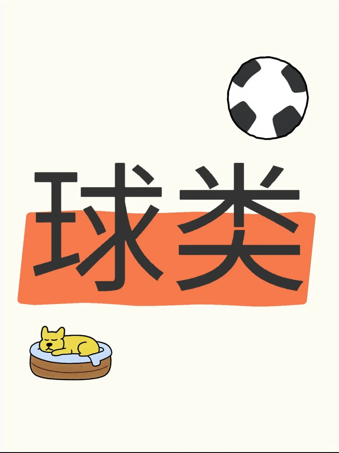 体育中考最全指南（平民选手）-第3张图片-四季读书网