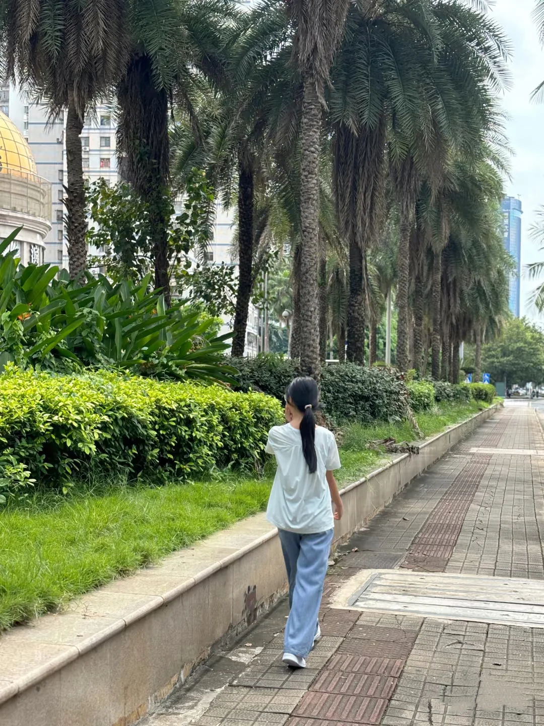 中考状元的建议,小升初暑假别卷错了方向 第2张 中考状元的建议,小升初暑假别卷错了方向 第2张