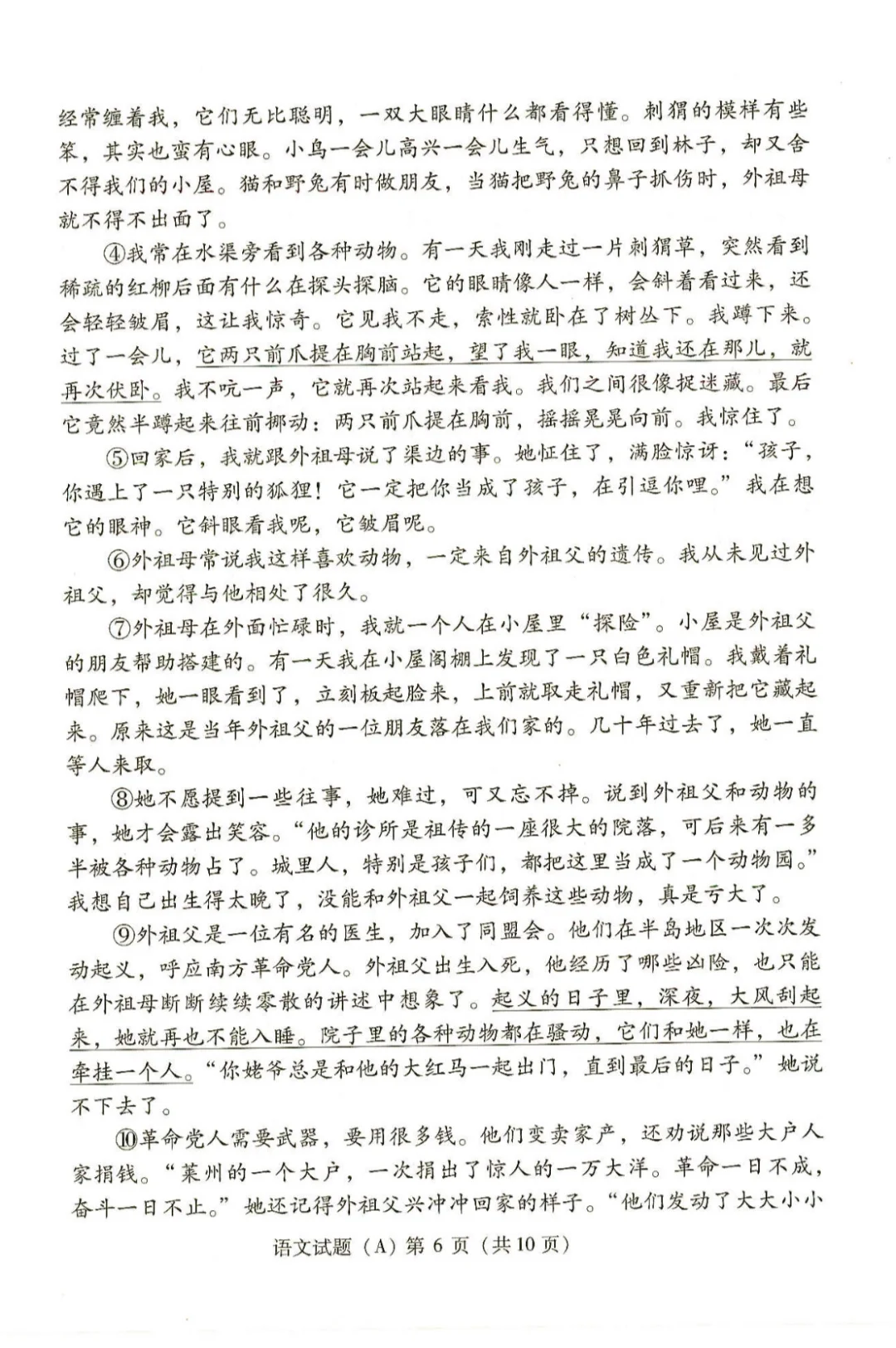 2025年潍坊中考语文试题 第7张