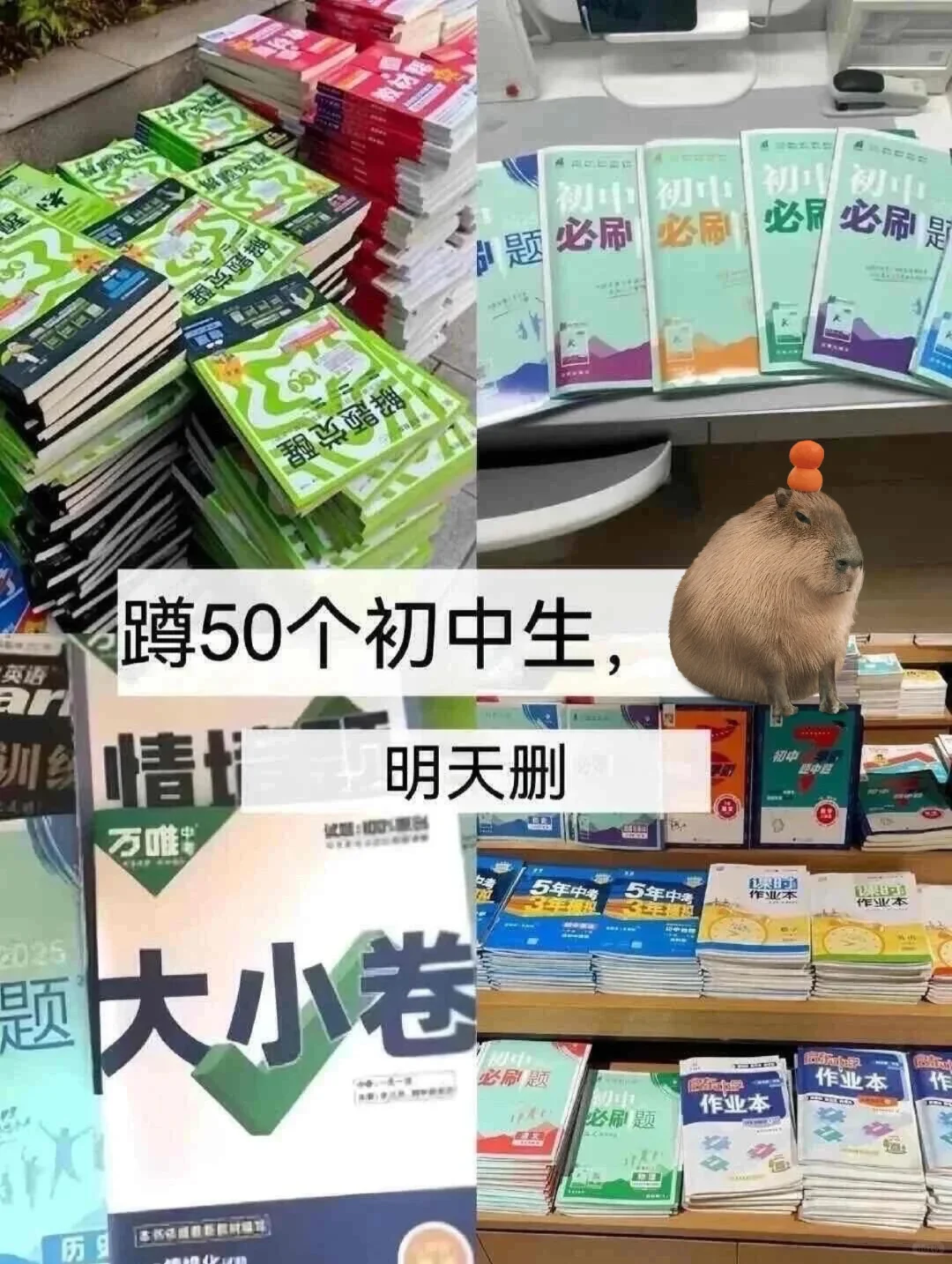 初中生速来！能救一个是一个！！……-第1张图片-四季读书网