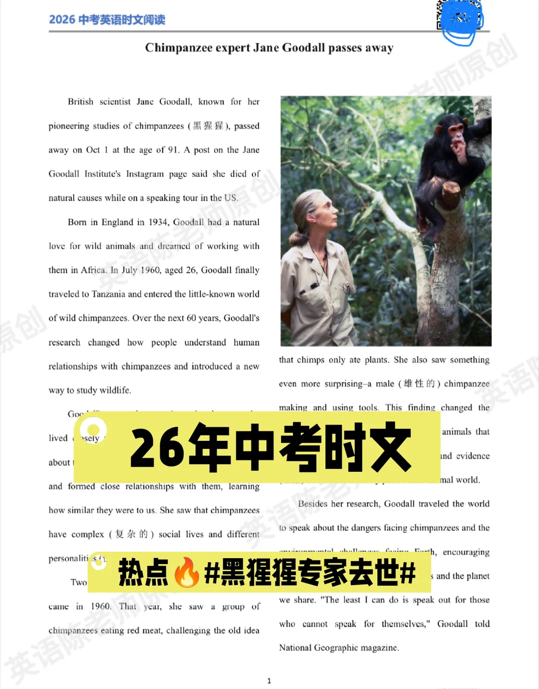 初三救星！珍·古道尔时文阅读，中考素材稳 第2张
