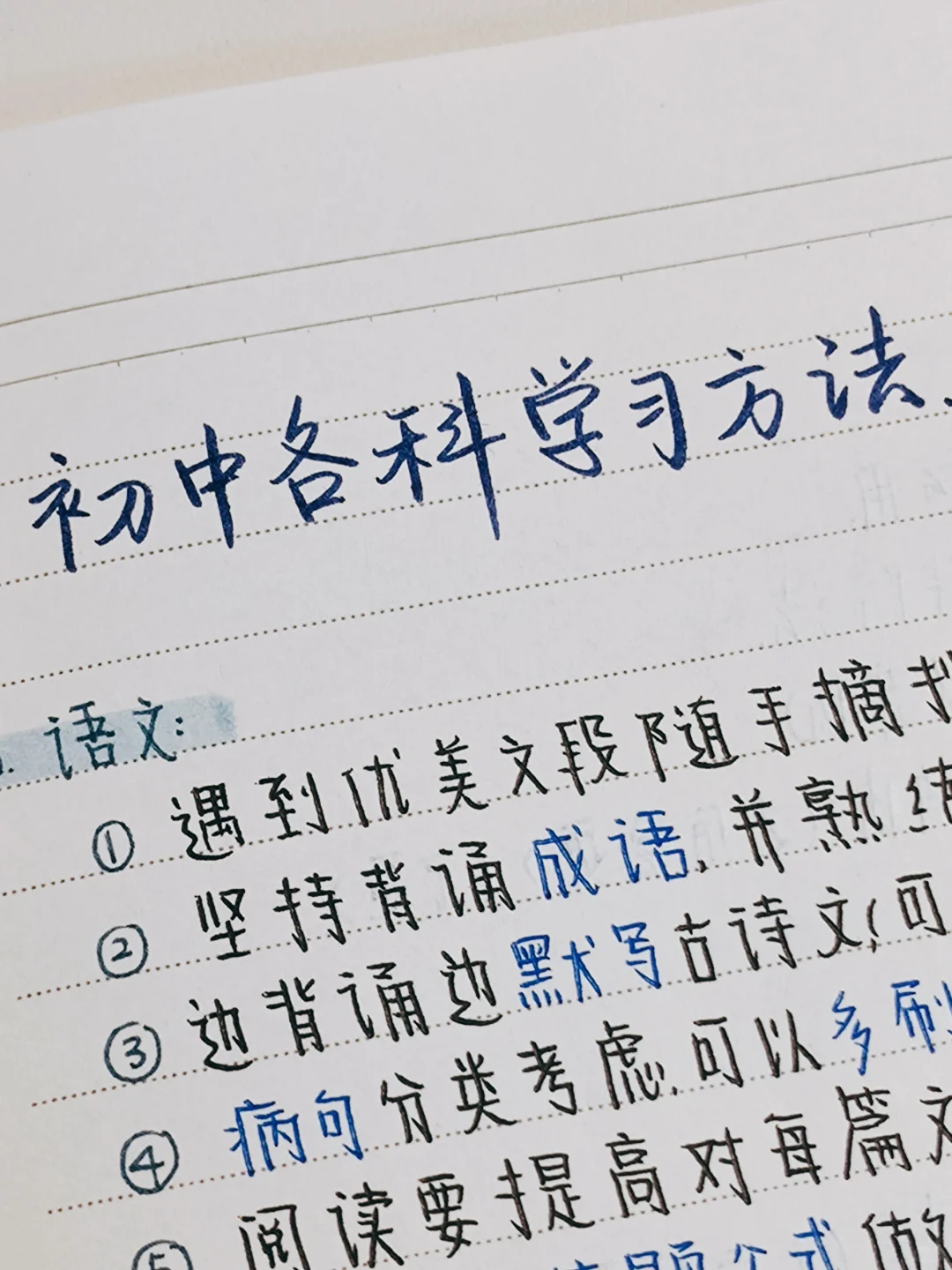 中考|初中各科学习方法|✅超有用💯-第2张图片-四季读书网