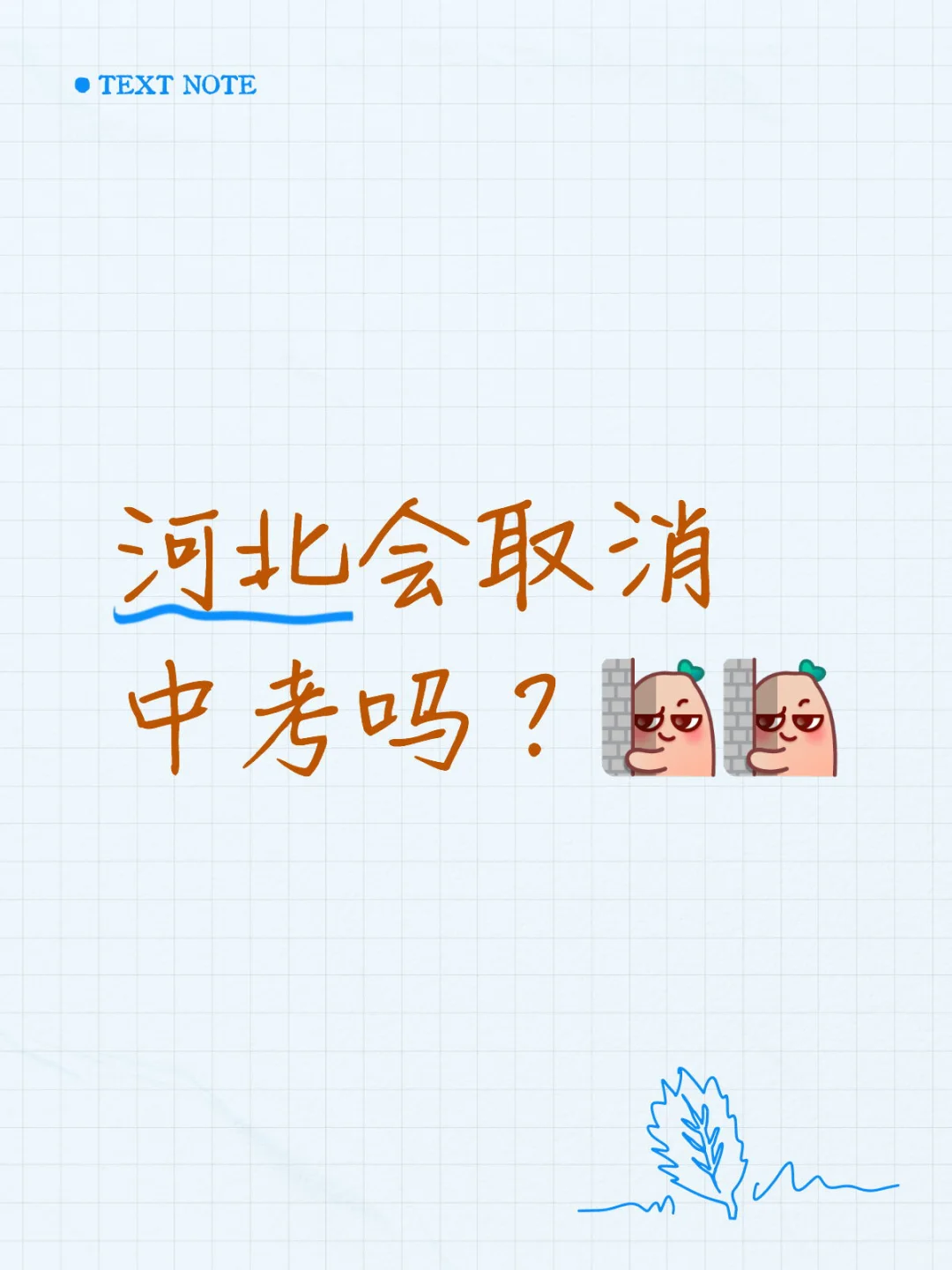 河北会取消中考吗? 第1张 河北会取消中考吗? 第1张