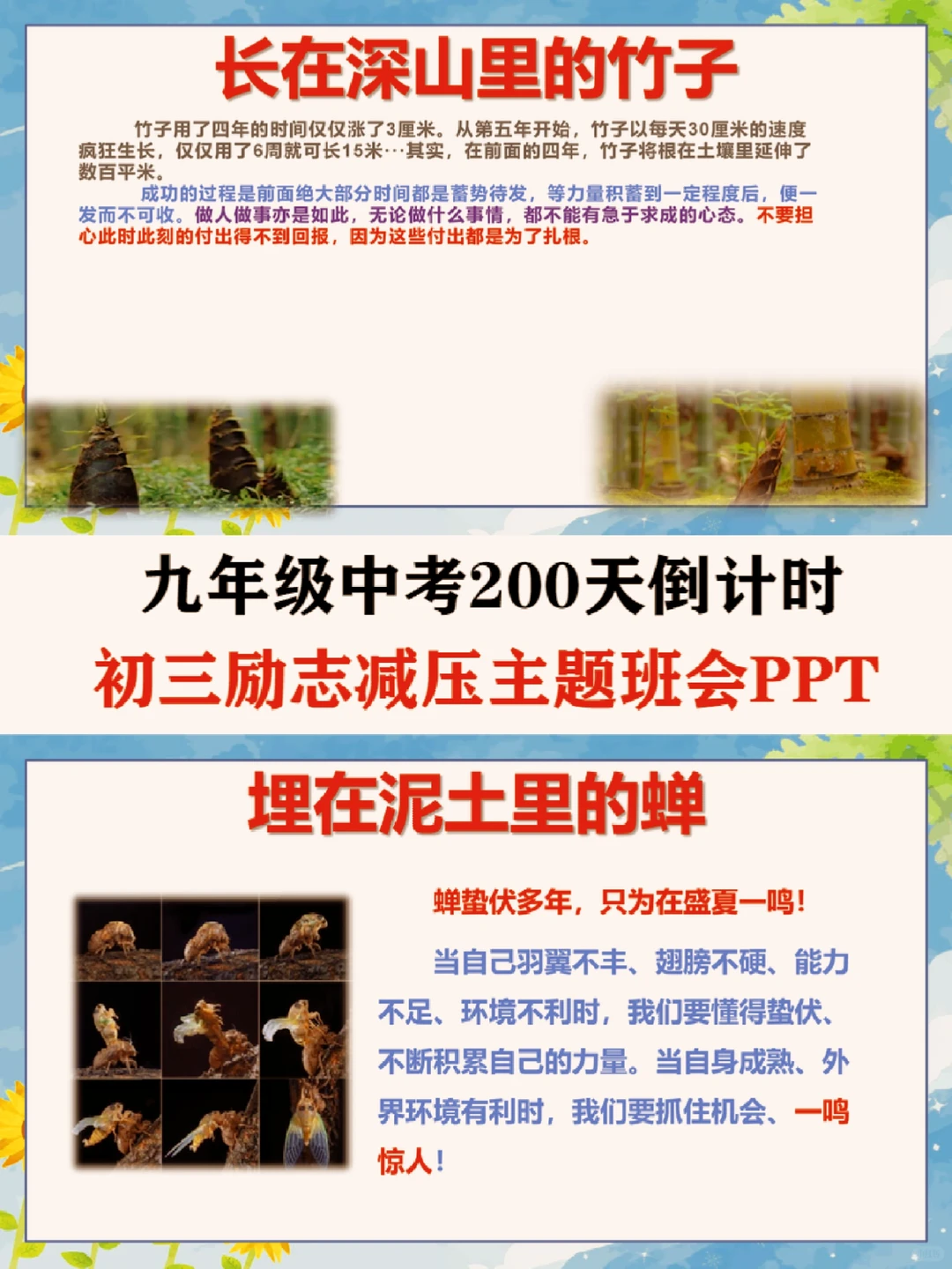 中考倒计时🔥最后200天，我们大有可为！ 第6张