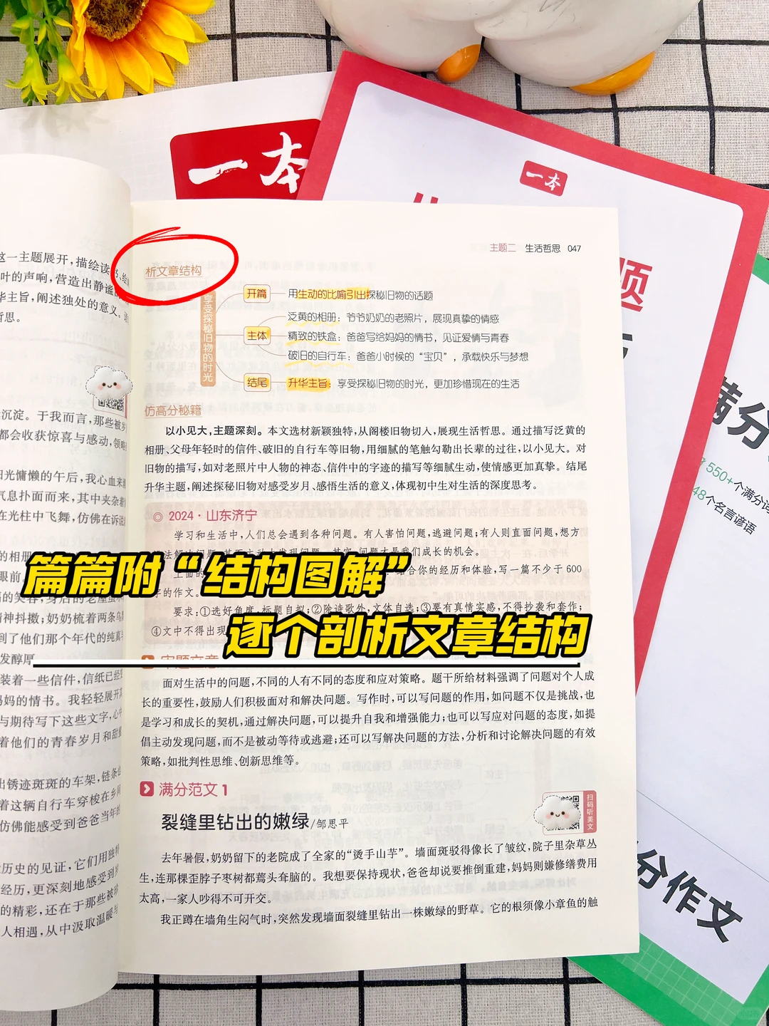 26中考语文作文8篇押题附范文✅背完稳了-第10张图片-四季读书网