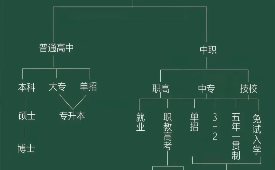 一张图看懂中考分流 第1张