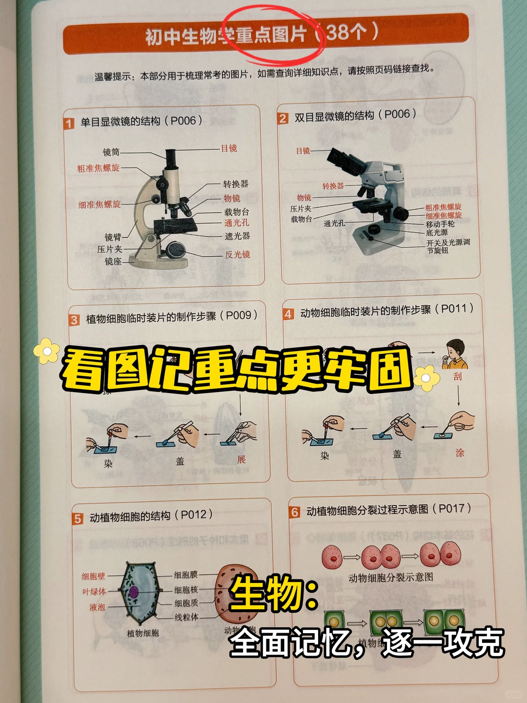 初中小四门知识点必背口诀秘籍❄️-第16张图片-四季读书网