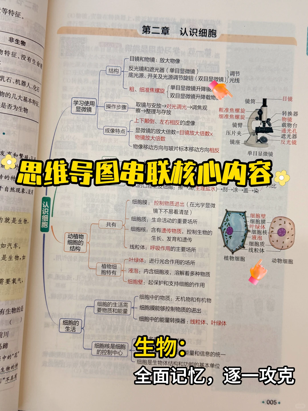 初中小四门知识点必背口诀秘籍❄️-第17张图片-四季读书网