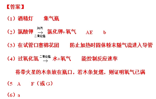 【中考化学】每日一练12.31 第7张