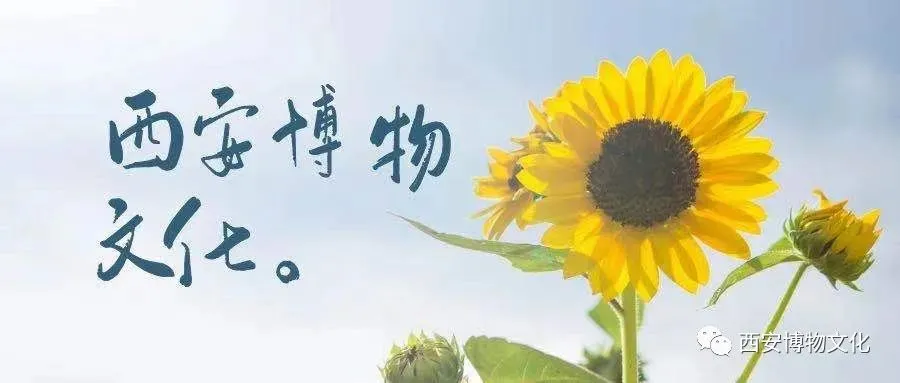 历年陕西省中考试题里的文物和博物馆元素-第7张图片-四季读书网