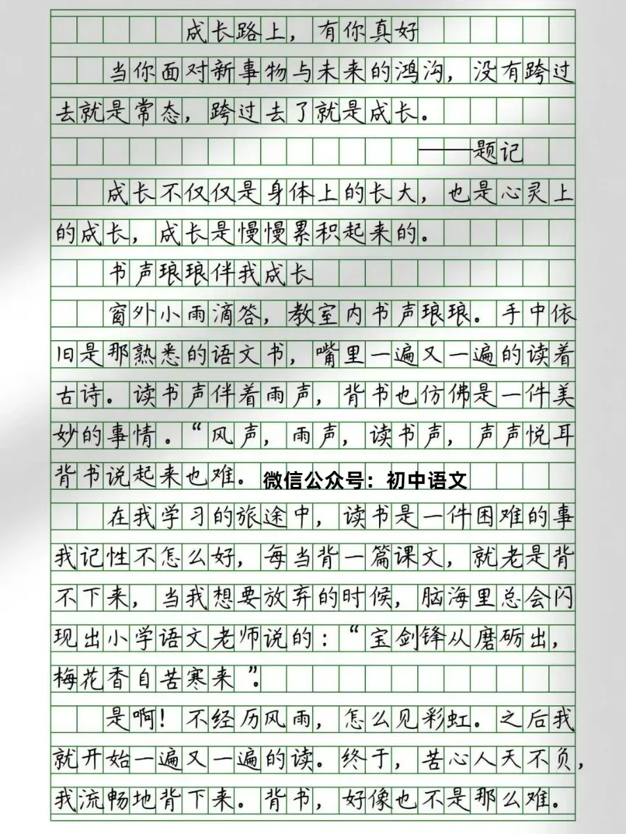 中考满分作文:《成长路上,有你真好》(范文2篇,可打印) 第1张