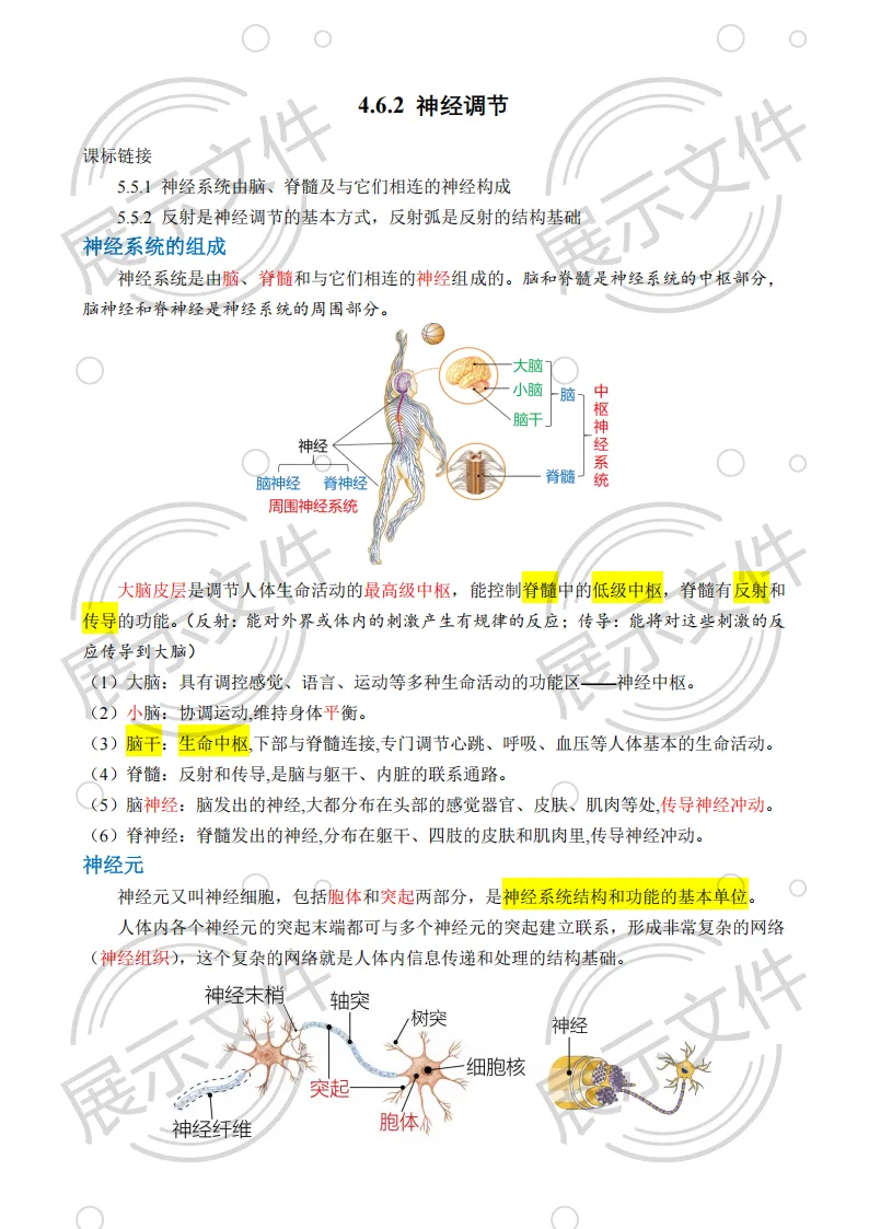 期末_中考稳了!这份人教版八年级上册生物讲义,精准抓分不费力-第3张图片-四季读书网