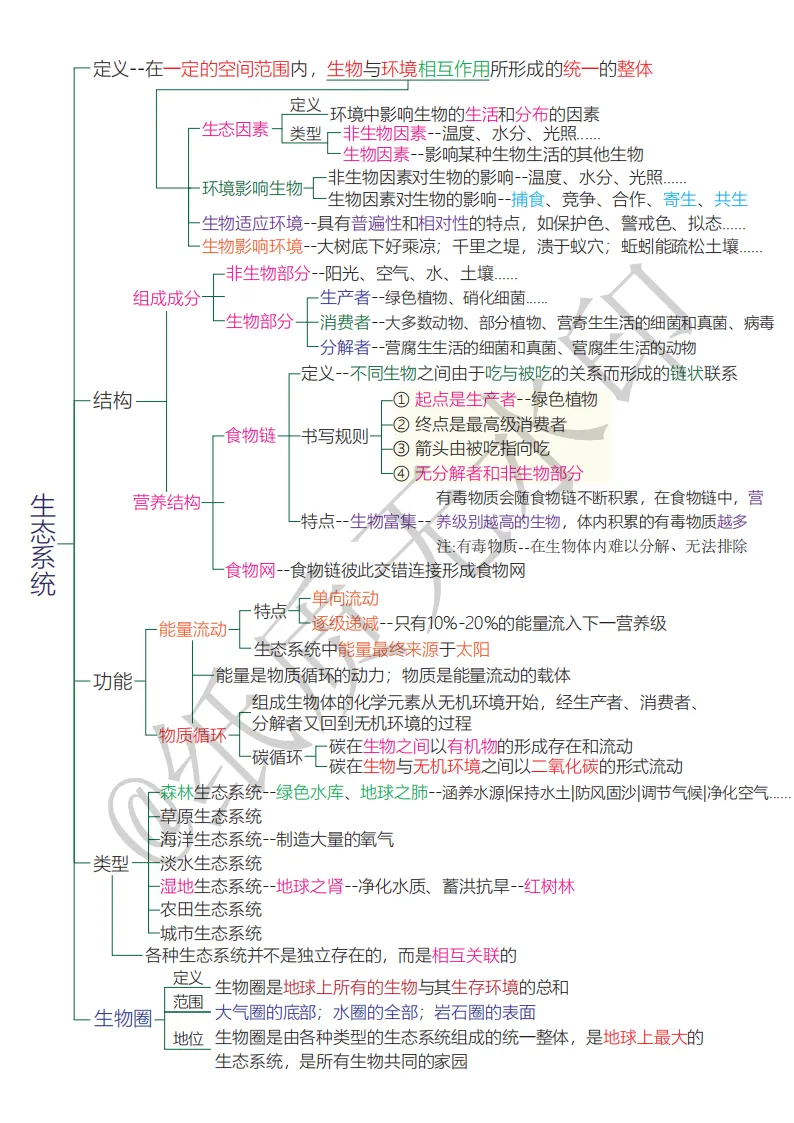 期末_中考稳了!这份人教版八年级上册生物讲义,精准抓分不费力-第8张图片-四季读书网