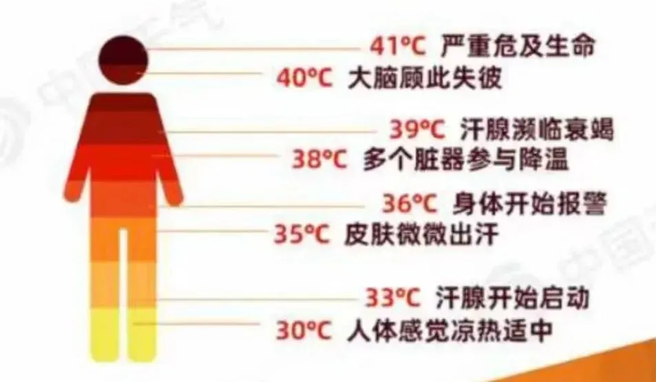 热不活了!中考遇高温,实用防中暑秘籍给娃备好了-第6张图片-四季读书网