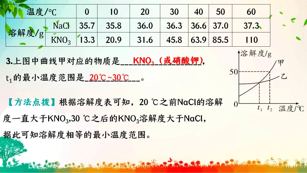 F386 中考专题复习 初中化学《溶解度、溶解度曲线及其应用》 课件PPT+教学设计Word-第11张图片-四季读书网