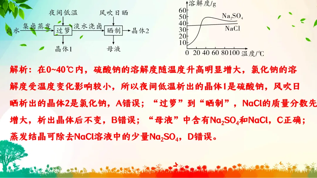 F386 中考专题复习 初中化学《溶解度、溶解度曲线及其应用》 课件PPT+教学设计Word-第15张图片-四季读书网