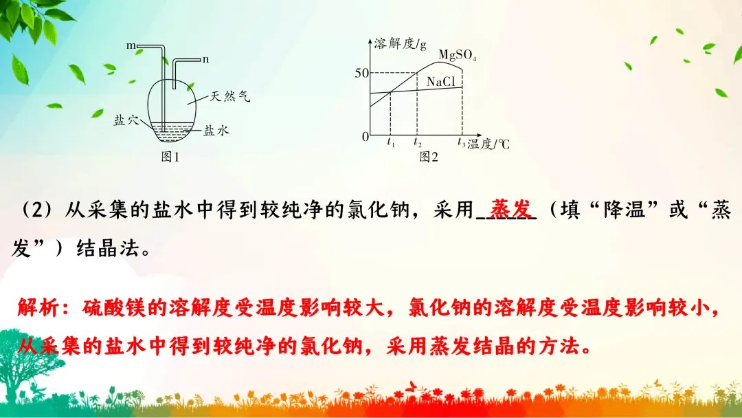 F386 中考专题复习 初中化学《溶解度、溶解度曲线及其应用》 课件PPT+教学设计Word-第17张图片-四季读书网