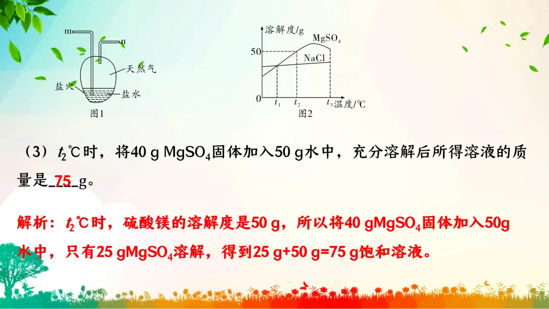 F386 中考专题复习 初中化学《溶解度、溶解度曲线及其应用》 课件PPT+教学设计Word-第18张图片-四季读书网