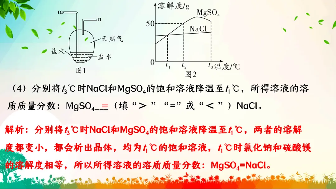F386 中考专题复习 初中化学《溶解度、溶解度曲线及其应用》 课件PPT+教学设计Word-第19张图片-四季读书网