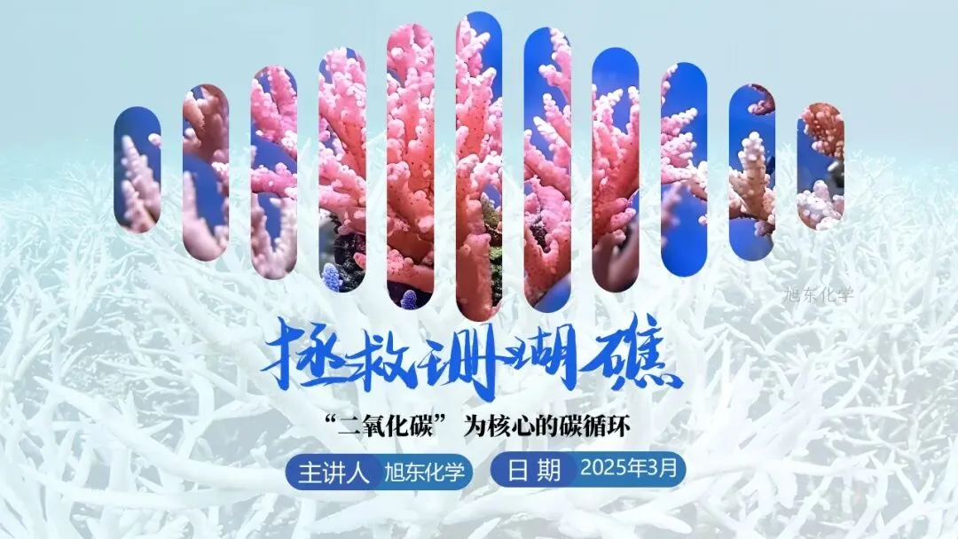 中考化学复习课件 | 小茶垢,大学问-第33张图片-四季读书网