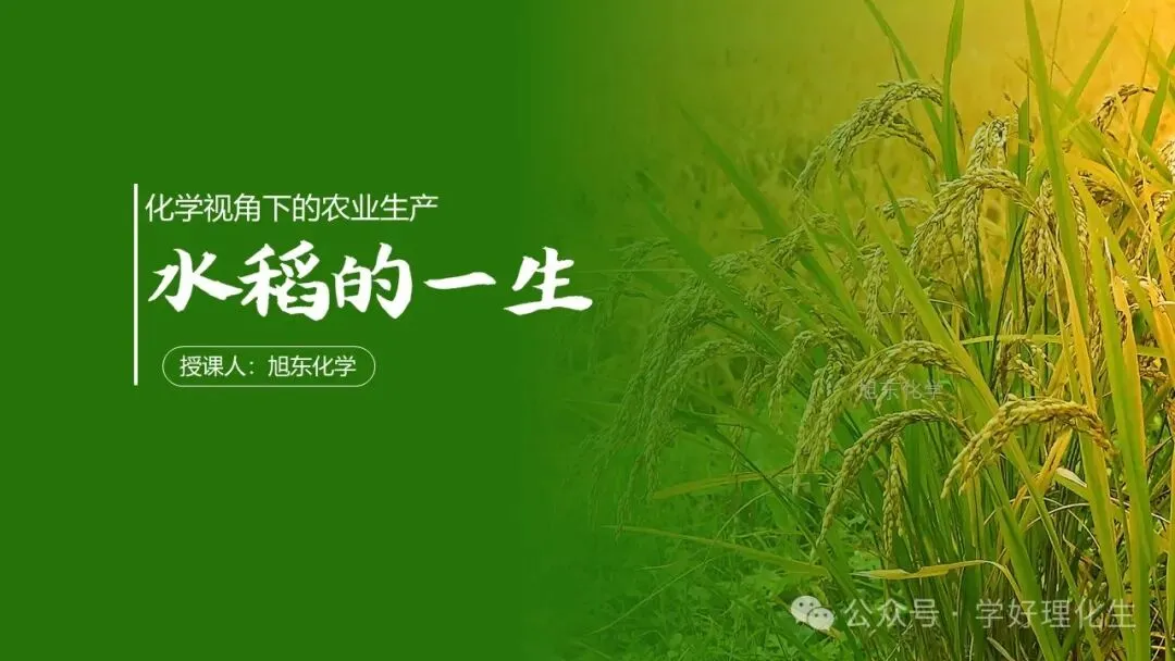 中考化学复习课件 | 小茶垢,大学问-第35张图片-四季读书网
